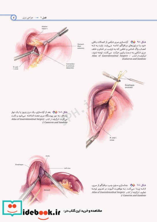 اطلس جراحی برای تکنولوژیست جراحی دکتر گلچینی