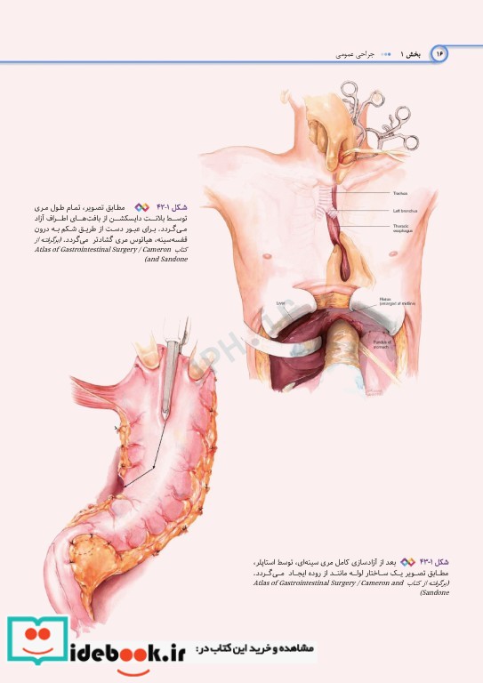 اطلس جراحی برای تکنولوژیست جراحی دکتر گلچینی