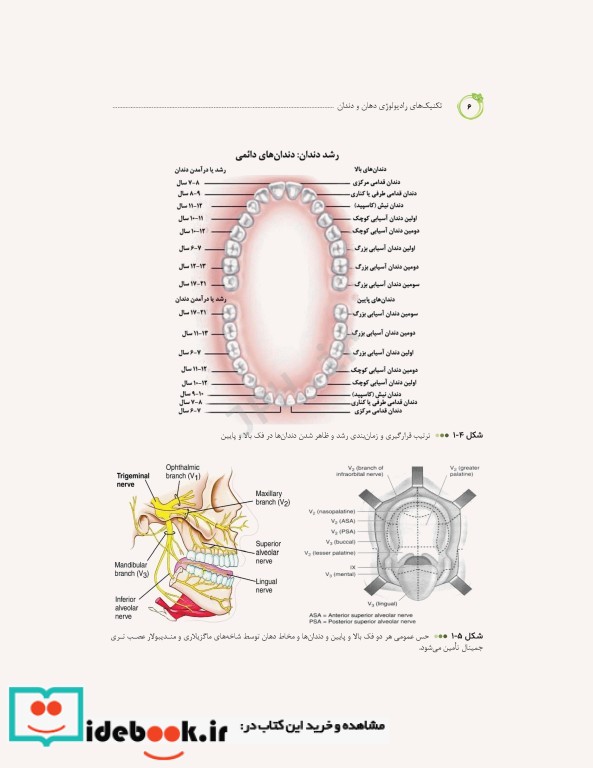 تکنیک های رادیولوژی دهان و دندان