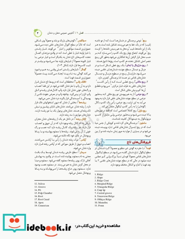 تکنیک های رادیولوژی دهان و دندان