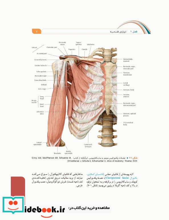 علوم تشریح برای دانشجویان پزشکی جلد4 دستگاه قلب و عروق