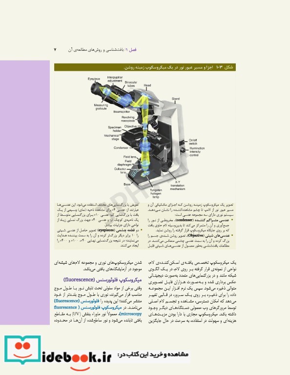 بافت شناسی پایه جان کوئیرا 2021