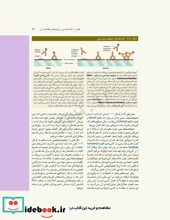 بافت شناسی پایه جان کوئیرا 2021