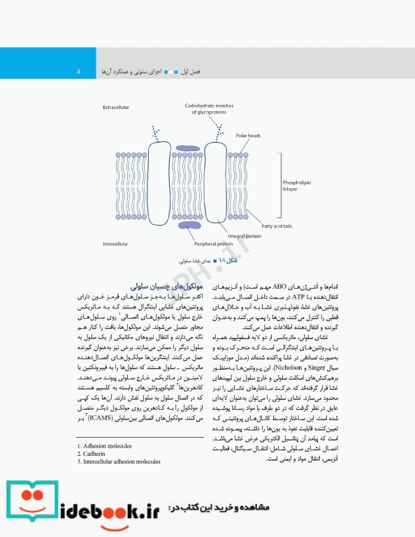 مبانی فیزیولوژی برای دانشجویان هوشبری 2020 دکتر زویا طاهرگورابی