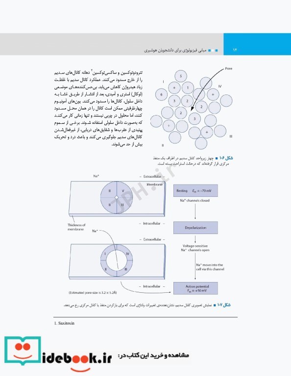 مبانی فیزیولوژی برای دانشجویان هوشبری 2020 دکتر زویا طاهرگورابی