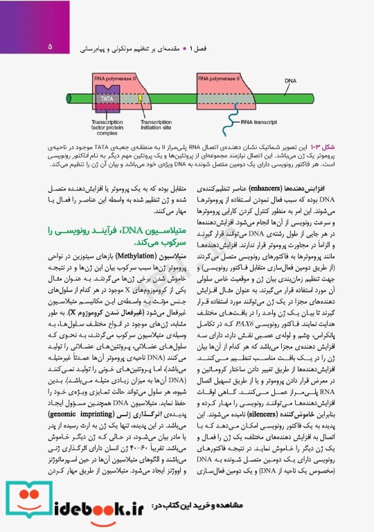 جنین شناسی پزشکی لانگمن 2023 دکتر مجیدپور جلد گالینگور