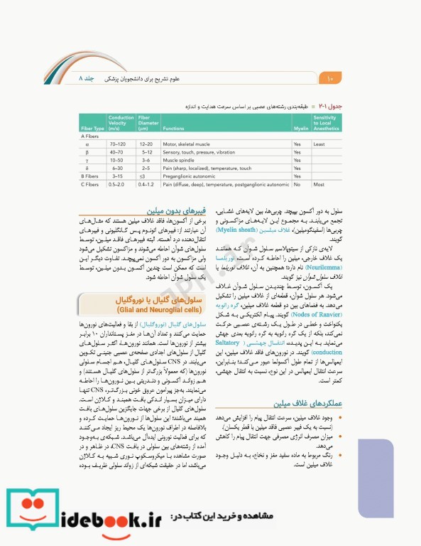 علوم تشریح برای دانشجویان پزشکی جلد8 دستگاه اعصاب