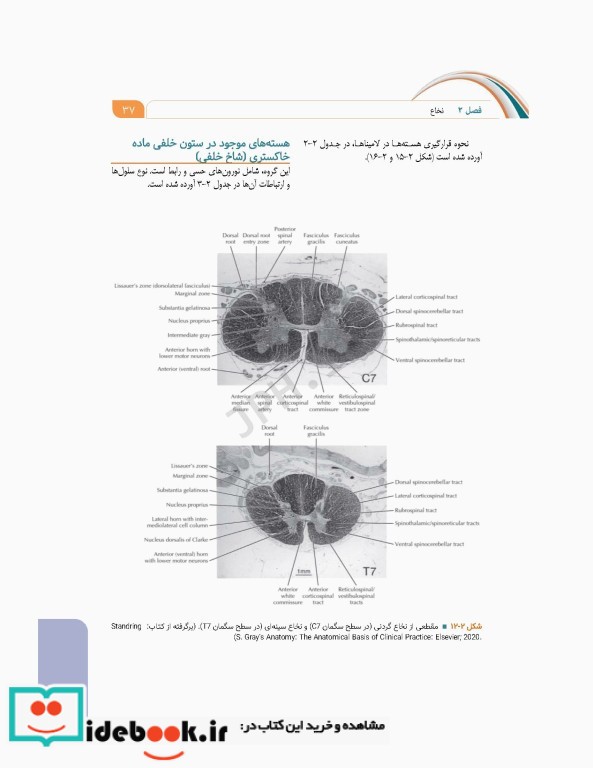 علوم تشریح برای دانشجویان پزشکی جلد8 دستگاه اعصاب