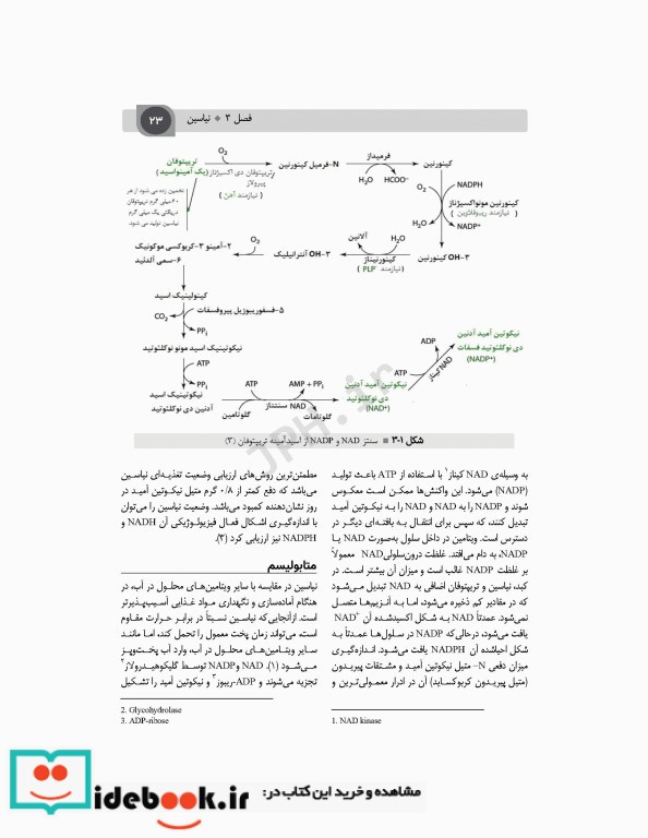 تغذیه اساسی جلد2 ویتامین ها مواد معدنی و الکترولیت ها دکتر شیدفر