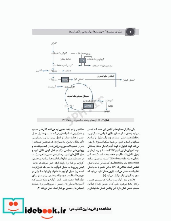 تغذیه اساسی جلد2 ویتامین ها مواد معدنی و الکترولیت ها دکتر شیدفر