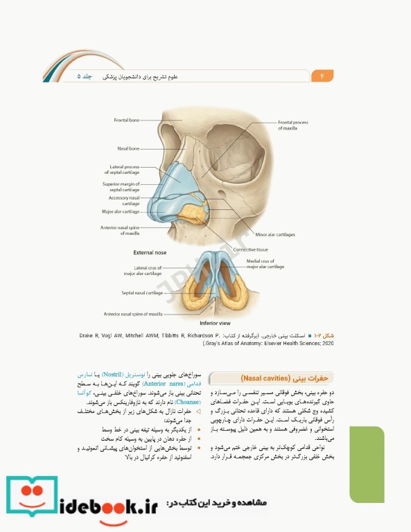 علوم تشریح برای دانشجویان پزشکی جلد5 دستگاه تنفس