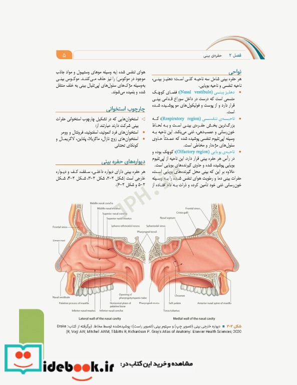 علوم تشریح برای دانشجویان پزشکی جلد5 دستگاه تنفس