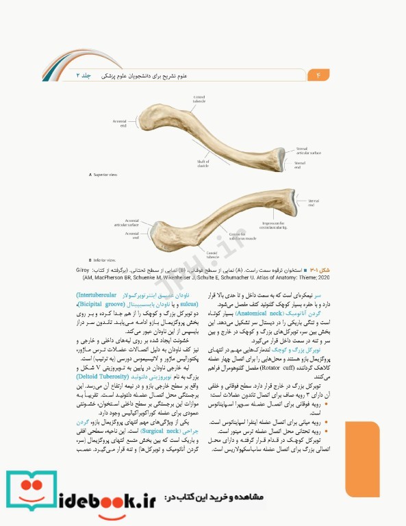 علوم تشریح برای دانشجویان پزشکی جلد2 دستگاه اسکلتی عضلانی