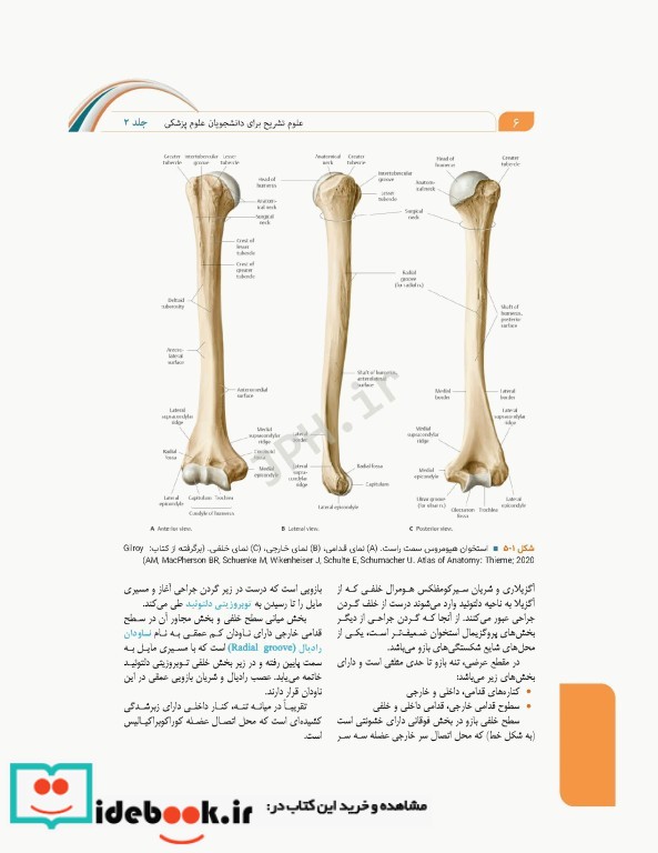 علوم تشریح برای دانشجویان پزشکی جلد2 دستگاه اسکلتی عضلانی