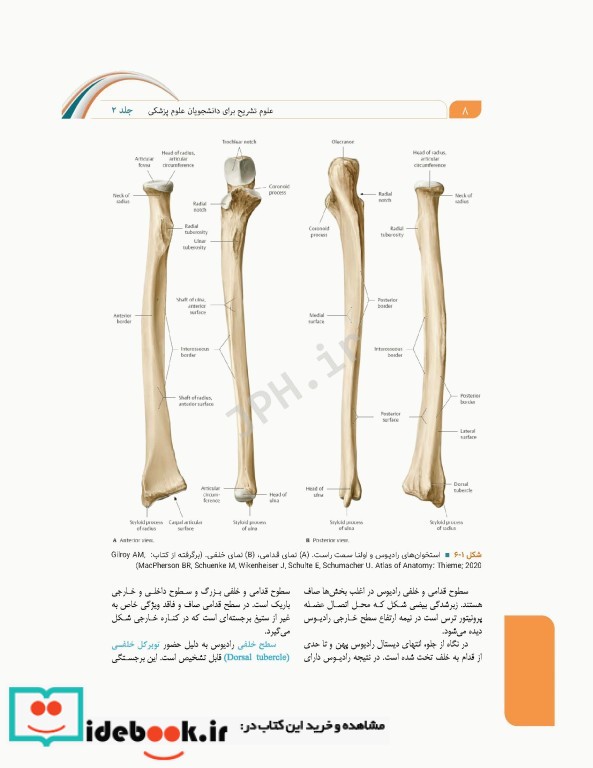 علوم تشریح برای دانشجویان پزشکی جلد2 دستگاه اسکلتی عضلانی