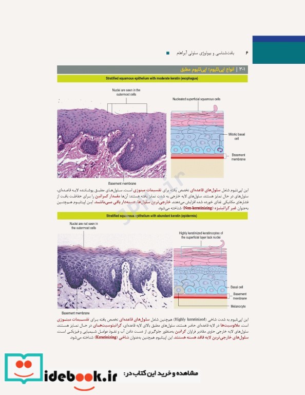 بافت شناسی و بیولوژی سلولی آبراهام 2020 مقدمه ای بر پاتولوژی جلد1