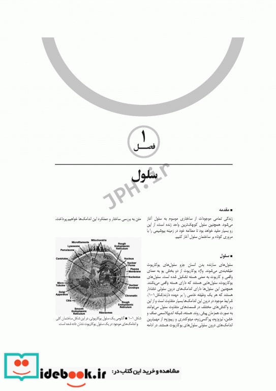 بیوشیمی برای پرستاران دکتر حافظ حیدری زرنق