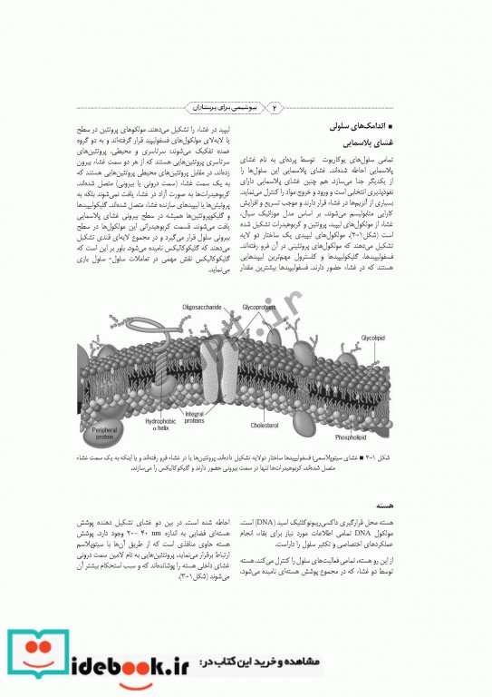 بیوشیمی برای پرستاران دکتر حافظ حیدری زرنق