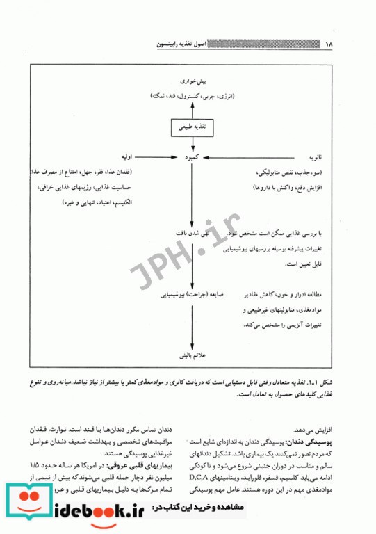 اصول تغذیه رابینسون