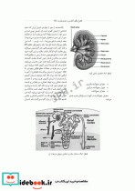 تکنولوژی جراحی اورولوژی ساداتی و گلچینی