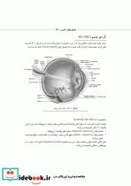 تکنولوژی جراحی چشم ساداتی و گلچینی