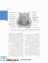 چکیده بارداری و زایمان ویلیامز 2018