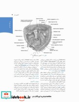 چکیده بارداری و زایمان ویلیامز 2018