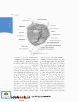 چکیده بارداری و زایمان ویلیامز 2018