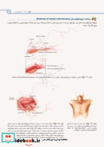 اطلس جراحی برای تکنولوژیست جراحی دکتر گلچینی