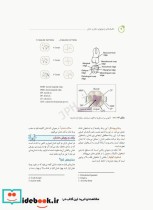 تکنیک های رادیولوژی دهان و دندان