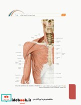 علوم تشریح برای دانشجویان پزشکی جلد4 دستگاه قلب و عروق