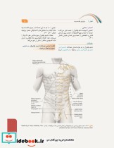 علوم تشریح برای دانشجویان پزشکی جلد4 دستگاه قلب و عروق