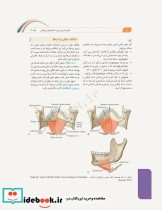 علوم تشریح برای دانشجویان پزشکی جلد6 دستگاه گوارش