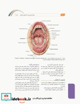 علوم تشریح برای دانشجویان پزشکی جلد6 دستگاه گوارش