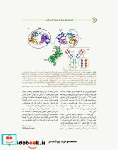 آنتی بادی های درمانی از تولید تا کاربرد بالینی