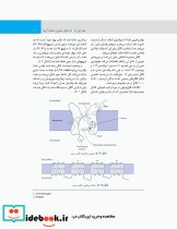 مبانی فیزیولوژی برای دانشجویان هوشبری 2020 دکتر زویا طاهرگورابی