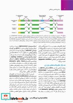 جنین شناسی پزشکی لانگمن 2023 دکتر مجیدپور جلد گالینگور