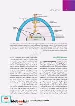 جنین شناسی پزشکی لانگمن 2023 دکتر مجیدپور جلد گالینگور