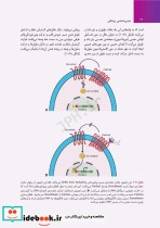 جنین شناسی پزشکی لانگمن 2023 دکتر مجیدپور جلد گالینگور