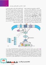 جنین شناسی پزشکی لانگمن 2023 دکتر مجیدپور جلد گالینگور