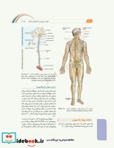 علوم تشریح برای دانشجویان پزشکی جلد8 دستگاه اعصاب