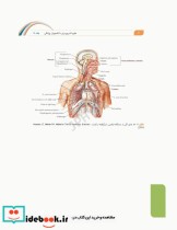 علوم تشریح برای دانشجویان پزشکی جلد5 دستگاه تنفس