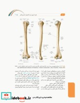 علوم تشریح برای دانشجویان پزشکی جلد2 دستگاه اسکلتی عضلانی