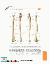 علوم تشریح برای دانشجویان پزشکی جلد2 دستگاه اسکلتی عضلانی