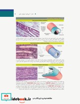 بافت شناسی و بیولوژی سلولی آبراهام 2020 مقدمه ای بر پاتولوژی جلد1