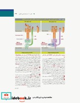 بافت شناسی و بیولوژی سلولی آبراهام 2020 مقدمه ای بر پاتولوژی جلد2