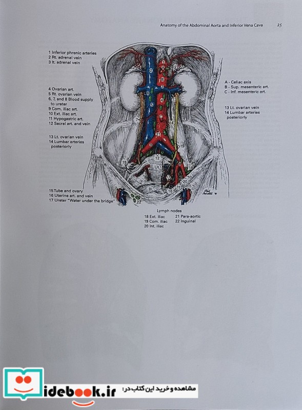 Zollinger's Atlas of Surgical Operations 2022 10 Edition