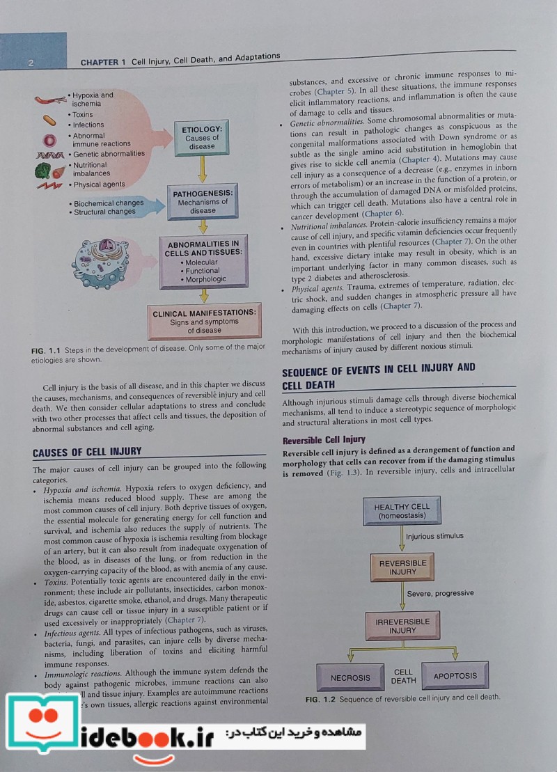 Robbins Basic Pathology 2022 11 Edition