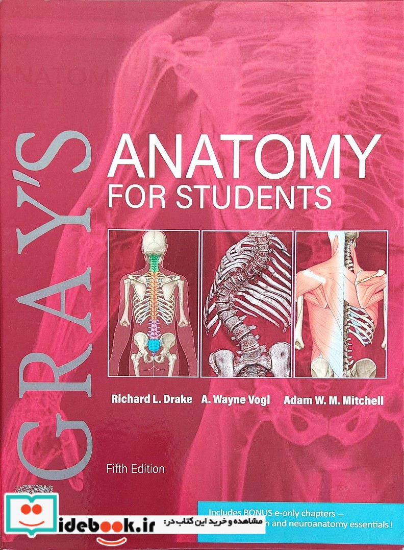 fifth edition 2024 Gray's Anatomy for Students