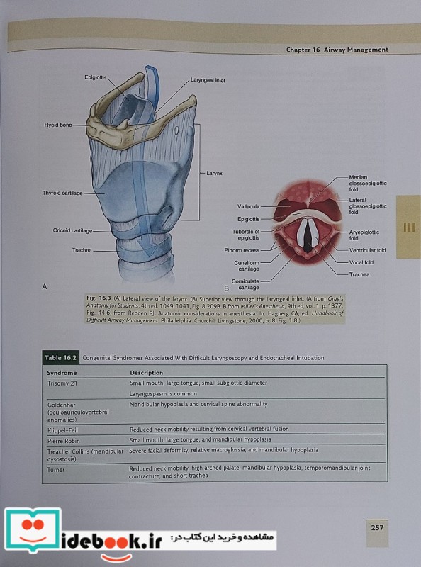 Miller’s Basics of Anesthesia 2023 8th Edition